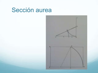 Sección aurea