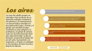Los aires:
Los aires del caballo pueden ser
naturales o bien producto de un
desarrollo realizado mediante la
cría selectiva y el entrenamiento.
Los denominados naturales son
principalmente el paso, el trote y el
galope, pero también pueden
nombrarse en esta categoría a la
ambladura y al galope de carreras.
Cada uno de estos posee dos fases
para cada extremidad. La fase de
elevación comprende el alzado del
pie del suelo, la propulsión y la
suspensión; y el apoyo es realizado
en dos tiempos, primero la pinta y
después los talones.
El paso es un andar estable, de menos fatiga ya que es lento.
El trote es un andar saltado a dos tiempos, por poseer una fase de
suspensión en el momento de cambio de una diagonal a otra.
El galope es un aire saltado de tres tiempos con una suspensión luego de
haber apoyado la tercer pisada.
La ambladura es similar al trote y al igual que este es un aire de dos
tiempos.
Todos los aires deben tener un andar recto, es decir que las extremidades
posteriores deben ponerse en la misma línea justo detrás de la huella de las manos
en cada paso, evitando los movimientos laterales.
 