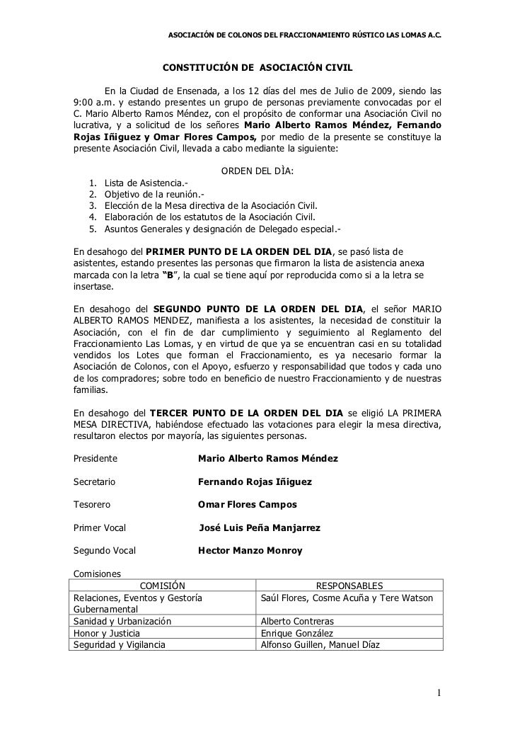 Acta constitutiva asociacion las lomas