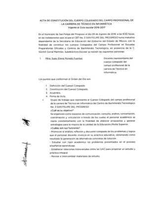 Acta de constitucion cuerpo colegiado campo profesional cbt3 sfp