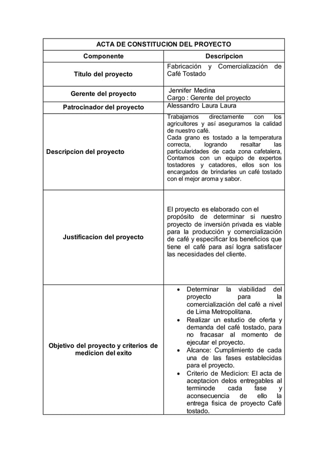 Acta de constitucion del proyecto | PDF