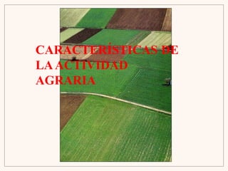 CARACTERÍSTICAS DE
LAACTIVIDAD
AGRARIA
 