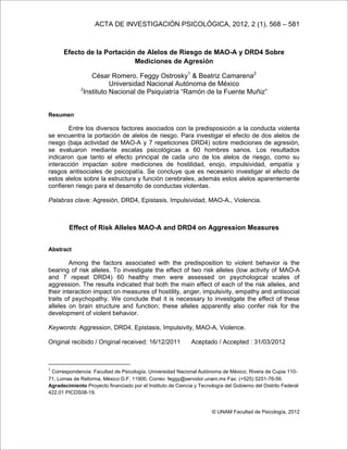 ACTA DE INVESTIGACIÓN PSICOLÓGICA, 2012, 2 (1), 568 – 581
© UNAM Facultad de Psicología, 2012
Efecto de la Portación de Alelos de Riesgo de MAO-A y DRD4 Sobre
Mediciones de Agresión
César Romero, Feggy Ostrosky1
& Beatriz Camarena2
Universidad Nacional Autónoma de México
2
Instituto Nacional de Psiquiatría “Ramón de la Fuente Muñiz”
Resumen
Entre los diversos factores asociados con la predisposición a la conducta violenta
se encuentra la portación de alelos de riesgo. Para investigar el efecto de dos alelos de
riesgo (baja actividad de MAO-A y 7 repeticiones DRD4) sobre mediciones de agresión,
se evaluaron mediante escalas psicológicas a 60 hombres sanos. Los resultados
indicaron que tanto el efecto principal de cada uno de los alelos de riesgo, como su
interacción impactan sobre mediciones de hostilidad, enojo, impulsividad, empatía y
rasgos antisociales de psicopatía. Se concluye que es necesario investigar el efecto de
estos alelos sobre la estructura y función cerebrales, además estos alelos aparentemente
confieren riesgo para el desarrollo de conductas violentas.
Palabras clave: Agresión, DRD4, Epistasis, Impulsividad, MAO-A., Violencia.
Effect of Risk Alleles MAO-A and DRD4 on Aggression Measures
Abstract
Among the factors associated with the predisposition to violent behavior is the
bearing of risk alleles. To investigate the effect of two risk alleles (low activity of MAO-A
and 7 repeat DRD4) 60 healthy men were assessed on psychological scales of
aggression. The results indicated that both the main effect of each of the risk alleles, and
their interaction impact on measures of hostility, anger, impulsivity, empathy and antisocial
traits of psychopathy. We conclude that it is necessary to investigate the effect of these
alleles on brain structure and function; these alleles apparently also confer risk for the
development of violent behavior.
Keywords: Aggression, DRD4, Epistasis, Impulsivity, MAO-A, Violence.
Original recibido / Original received: 16/12/2011 Aceptado / Accepted : 31/03/2012
1
Correspondencia: Facultad de Psicología, Universidad Nacional Autónoma de México, Rivera de Cupia 110-
71, Lomas de Reforma, México D.F. 11900. Correo: feggy@servidor.unam.mx Fax: (+525) 5251-76-56.
Agradecimiento Proyecto financiado por el Instituto de Ciencia y Tecnología del Gobierno del Distrito Federal
422.01 PICDS08-19.
 