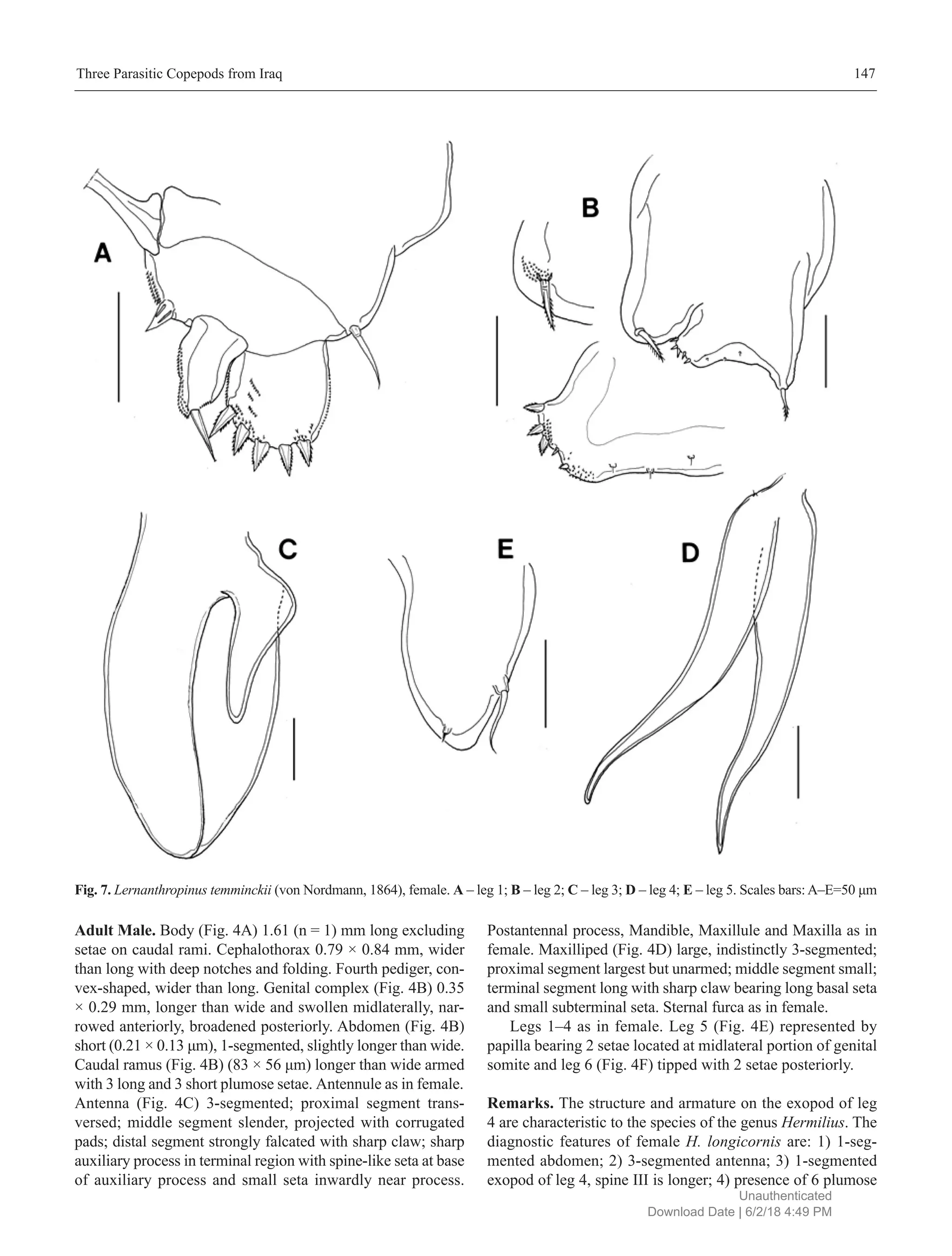 Three new records of copepods (Siphonostomatoida) parasitic on marine ...
