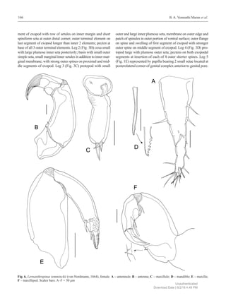 Three new records of copepods (Siphonostomatoida) parasitic on marine ...