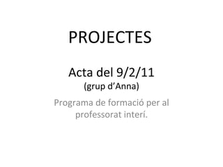 PROJECTES   Acta del 9/2/11 (grup d’Anna) Programa de formació per al professorat interí. 