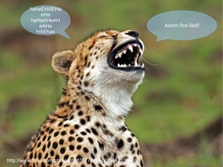 http://www.flickr.com/photos/80835774@N00/5442336248/ hehaEHAEHaeHe haHeAHeAHeAHe HAEhae Assim fica fácil! 