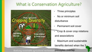 Conservation Agriculture concepts and principles | PPTX