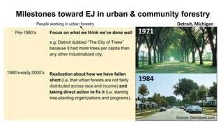 Milestones toward EJ in urban & community forestry
Pre-1980’s
1980’s-early 2000’s
Focus on what we think we’ve done well
e...