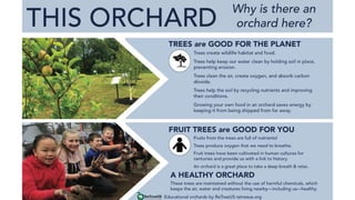 Benefits of School
Orchards:
• Learning opportunities!
• Experiential learning
• Outdoor classroom
• Fresh fruit!
• Inspir...