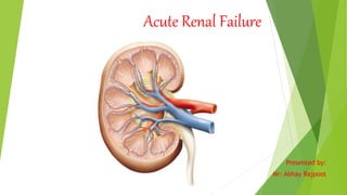 Acute Renal Failure
Presented by:
Mr: Abhay Rajpoot
 