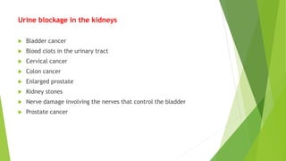 Urine blockage in the kidneys
 Bladder cancer
 Blood clots in the urinary tract
 Cervical cancer
 Colon cancer
 Enlarged prostate
 Kidney stones
 Nerve damage involving the nerves that control the bladder
 Prostate cancer
 