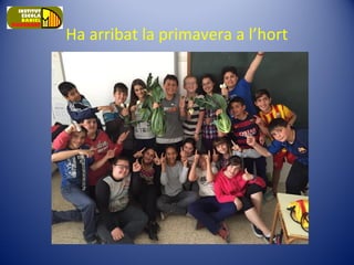 Ha arribat la primavera a l’hort
 