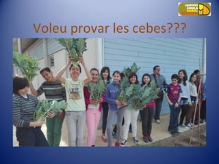 Voleu provar les cebes???
 