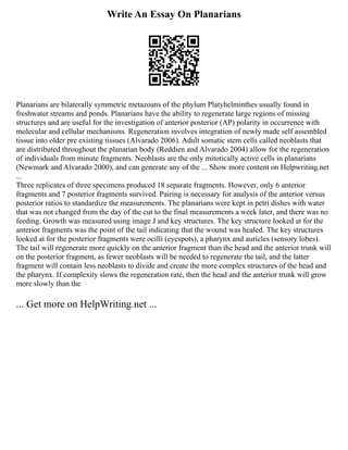 Write An Essay On Planarians
Planarians are bilaterally symmetric metazoans of the phylum Platyhelminthes usually found in
freshwater streams and ponds. Planarians have the ability to regenerate large regions of missing
structures and are useful for the investigation of anterior posterior (AP) polarity in occurrence with
molecular and cellular mechanisms. Regeneration involves integration of newly made self assembled
tissue into older pre existing tissues (Alvarado 2006). Adult somatic stem cells called neoblasts that
are distributed throughout the planarian body (Reddien and Alvarado 2004) allow for the regeneration
of individuals from minute fragments. Neoblasts are the only mitotically active cells in planarians
(Newmark and Alvarado 2000), and can generate any of the ... Show more content on Helpwriting.net
...
Three replicates of three specimens produced 18 separate fragments. However, only 6 anterior
fragments and 7 posterior fragments survived. Pairing is necessary for analysis of the anterior versus
posterior ratios to standardize the measurements. The planarians were kept in petri dishes with water
that was not changed from the day of the cut to the final measurements a week later, and there was no
feeding. Growth was measured using image J and key structures. The key structure looked at for the
anterior fragments was the point of the tail indicating that the wound was healed. The key structures
looked at for the posterior fragments were ocilli (eyespots), a pharynx and auricles (sensory lobes).
The tail will regenerate more quickly on the anterior fragment than the head and the anterior trunk will
on the posterior fragment, as fewer neoblasts will be needed to regenerate the tail, and the latter
fragment will contain less neoblasts to divide and create the more complex structures of the head and
the pharynx. If complexity slows the regeneration rate, then the head and the anterior trunk will grow
more slowly than the
... Get more on HelpWriting.net ...
 