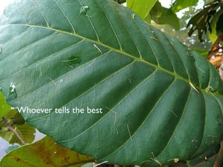 “Whoever tells the best 
 