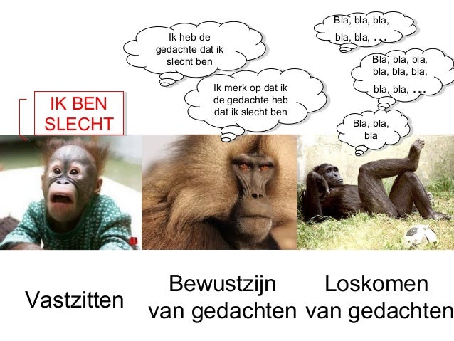 Act groep