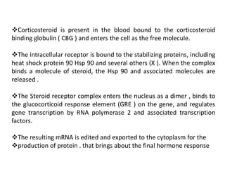 Corticosteroid is present in the blood bound to the corticosteroid
binding globulin ( CBG ) and enters the cell as the free molecule.
The intracellular receptor is bound to the stabilizing proteins, including
heat shock protein 90 Hsp 90 and several others (X ). When the complex
binds a molecule of steroid, the Hsp 90 and associated molecules are
released .
The Steroid receptor complex enters the nucleus as a dimer , binds to
the glucocorticoid response element (GRE ) on the gene, and regulates
gene transcription by RNA polymerase 2 and associated transcription
factors.
The resulting mRNA is edited and exported to the cytoplasm for the
production of protein . that brings about the final hormone response
 