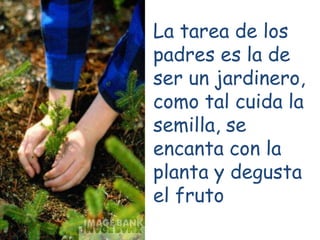 La tarea de los
padres es la de
ser un jardinero,
como tal cuida la
semilla, se
encanta con la
planta y degusta
el fruto
 