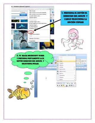 3. Presiona el botón el
                                derecho del mouse y
                                 luego selecciona la
                                    opción COPIAR




4. Ve hacia Microsoft Word
y Presiona nuevamente la el
botón derecho del mouse. Y
     selecciona PEGAR.
 
