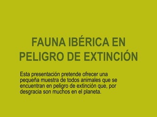 FAUNA IBÉRICA EN
PELIGRO DE EXTINCIÓN
Esta presentación pretende ofrecer una
pequeña muestra de todos animales que se
encuentran en peligro de extinción que, por
desgracia son muchos en el planeta.
 