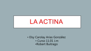 LA ACTINA
• Elsy Carolay Arias González
• Curso 11.01 J.m
•Robert Buitrago
 