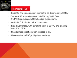 NEPTUNIUM 
• It was the first transuranium element to be discovered in 1940. 
• There are 15 known isotopes, only 237Np, w/ half-life of 
2.14*106 years, is useful for chemical experiments. 
• It exhibits O.S. of +3 to +7 in compounds. 
• It is a silvery metal, with a melting point of 637°C and a boiling 
point of 4174°C. 
• It has surface oxidation when exposed to air. 
• It is converted to NpO2 at high temperatures 
 