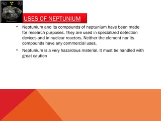 USES OF NEPTUNIUM 
• Neptunium and its compounds of neptunium have been made 
for research purposes. They are used in specialized detection 
devices and in nuclear reactors. Neither the element nor its 
compounds have any commercial uses. 
• Neptunium is a very hazardous material. It must be handled with 
great caution 
 