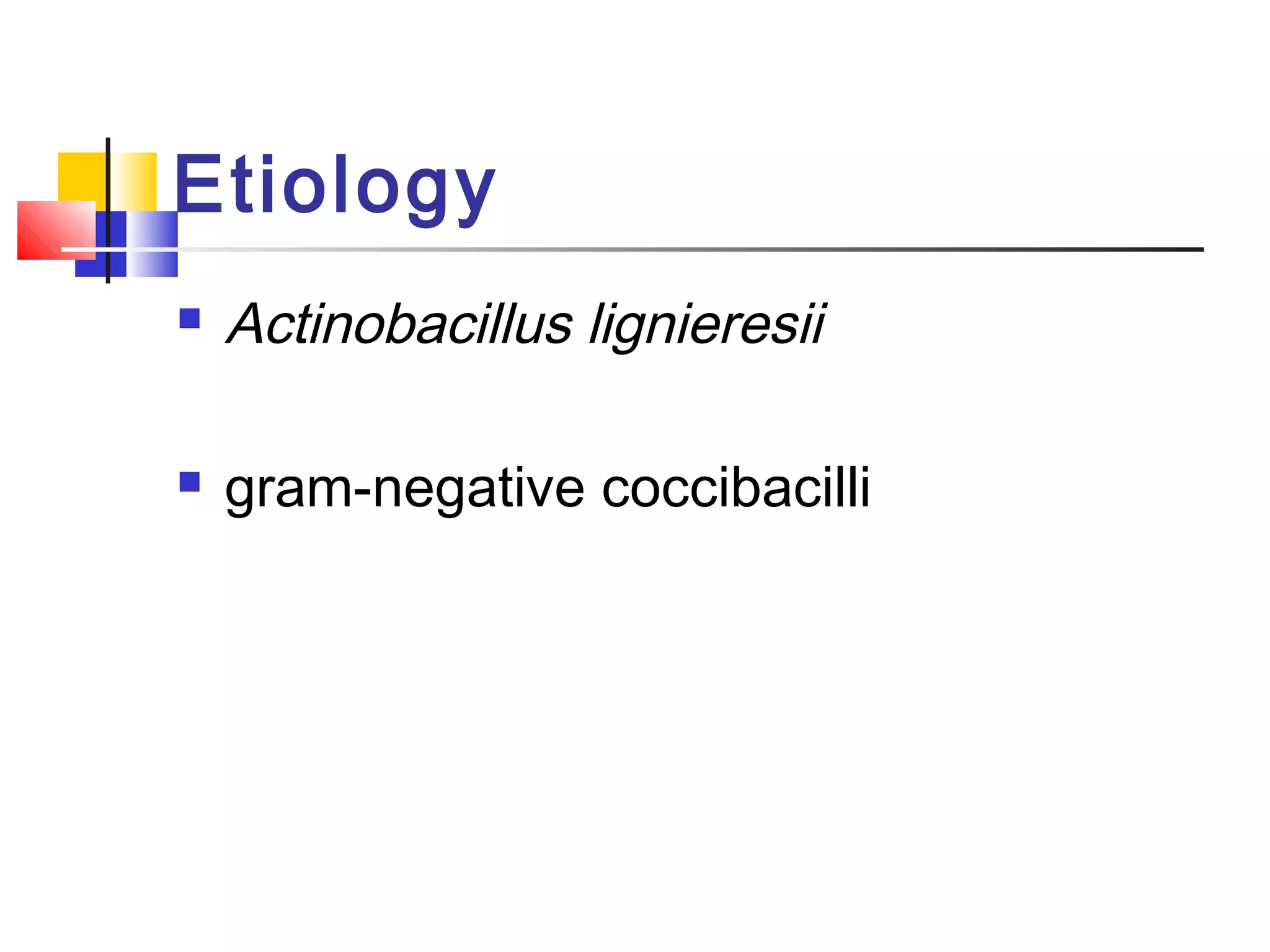 Actinobacillosis (wooden tongue) | PPT