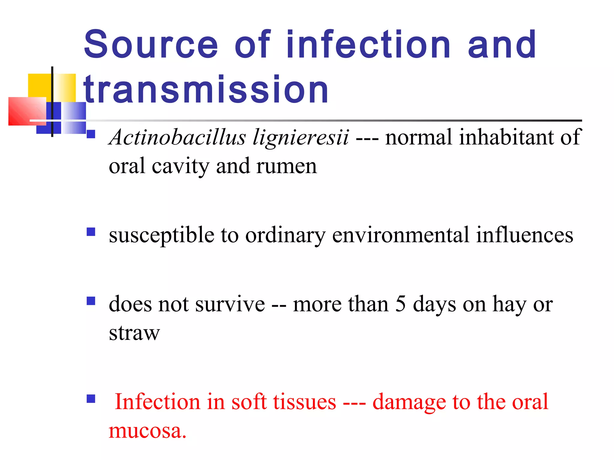 Actinobacillosis (wooden tongue) | PPT