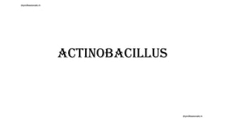 Actinobacillus
drprofessionals.in
drprofessionals.in
 