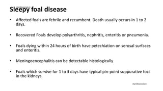 Sleepy foal disease
• Affected foals are febrile and recumbent. Death usually occurs in 1 to 2
days.
• Recovered Foals develop polyarthritis, nephritis, enteritis or pneumonia.
• Foals dying within 24 hours of birth have petechiation on serosal surfaces
and enteritis.
• Meningoencephalitis can be detectable histologically
• Foals which survive for 1 to 3 days have typical pin-point suppurative foci
in the kidneys.
drprofessionals.in
drprofessionals.in
 