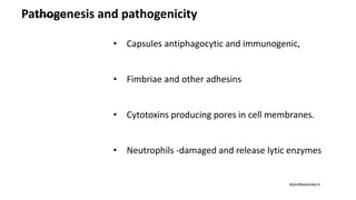 Pathogenesis and pathogenicity
• Capsules antiphagocytic and immunogenic,
• Fimbriae and other adhesins
• Cytotoxins producing pores in cell membranes.
• Neutrophils -damaged and release lytic enzymes
drprofessionals.in
drprofessionals.in
 