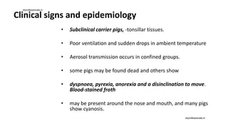 Clinical signs and epidemiology
• Subclinical carrier pigs, -tonsillar tissues.
• Poor ventilation and sudden drops in ambient temperature
• Aerosol transmission occurs in confined groups.
• some pigs may be found dead and others show
• dyspnoea, pyrexia, anorexia and a disinclination to move.
Blood-stained froth
• may be present around the nose and mouth, and many pigs
show cyanosis.
drprofessionals.in
drprofessionals.in
 