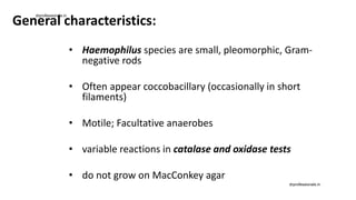 General characteristics:
• Haemophilus species are small, pleomorphic, Gram-
negative rods
• Often appear coccobacillary (occasionally in short
filaments)
• Motile; Facultative anaerobes
• variable reactions in catalase and oxidase tests
• do not grow on MacConkey agar
drprofessionals.in
drprofessionals.in
 