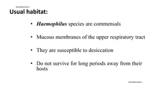 Usual habitat:
• Haemophilus species are commensals
• Mucous membranes of the upper respiratory tract
• They are susceptible to desiccation
• Do not survive for long periods away from their
hosts
drprofessionals.in
drprofessionals.in
 