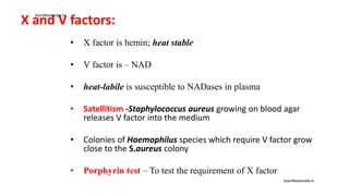 X and V factors:
• X factor is hemin; heat stable
• V factor is – NAD
• heat-labile is susceptible to NADases in plasma
• Satellitism -Staphylococcus aureus growing on blood agar
releases V factor into the medium
• Colonies of Haemophilus species which require V factor grow
close to the S.aureus colony
• Porphyrin test – To test the requirement of X factor
drprofessionals.in
drprofessionals.in
 