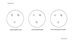 drprofessionals.in
drprofessionals.in
 