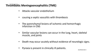 Thrombotic Meningoencephalitis (TME)
• Attacks vascular endothelium
• causing a septic vasculitis with thrombosis
• The parenchymal lesions of ischemic and hemorrhagic
infarction in CNS
• Similar vascular lesions can occur in the lung, heart, skeletal
muscle, and joints
• Death may occur acutely without evidence of neurologic signs.
• Pyrexia is present in clinically ill patients.
drprofessionals.in
drprofessionals.in
 