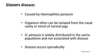 Glassers disease:
• Caused by Haemophilus parasuis
• Organism often can be isolated from the nasal
cavity or tonsil of normal pigs
• H. parasuis is widely distributed in the swine
population and not associated with disease
• Disease occurs sporadically
drprofessionals.in
drprofessionals.in
 
