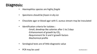Diagnosis:
• Haemophilus species are highly fragile
• Specimens should be frozen in dry ice
• Chocolate agar or blood agar with S. aureus stream may be inoculated
• Identification criteria for isolates :
-Small, dewdrop-like colonies after 1 to 2 days
-Enhancement of growth by CO2
-Requirement for X and V growth factors
-Biochemical profile
• Serological tests are of little diagnostic value
• PCR may be used
drprofessionals.in
drprofessionals.in
 