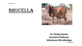 Brucella
Dr. Pankaj Kumar
Assistant Professor
Veterinary Microbiology
drprofessionals.in
drprofessionals.in
 