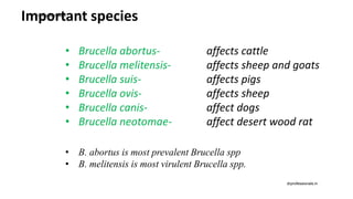 Important species
• Brucella abortus- affects cattle
• Brucella melitensis- affects sheep and goats
• Brucella suis- affects pigs
• Brucella ovis- affects sheep
• Brucella canis- affect dogs
• Brucella neotomae- affect desert wood rat
• B. abortus is most prevalent Brucella spp
• B. melitensis is most virulent Brucella spp.
drprofessionals.in
drprofessionals.in
 