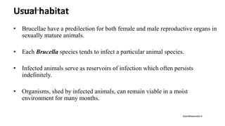 Usual habitat
• Brucellae have a predilection for both female and male reproductive organs in
sexually mature animals.
• Each Brucella species tends to infect a particular animal species.
• Infected animals serve as reservoirs of infection which often persists
indefinitely.
• Organisms, shed by infected animals, can remain viable in a moist
environment for many months.
drprofessionals.in
drprofessionals.in
 