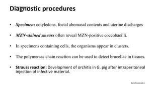 Diagnostic procedures
• Specimen: cotyledons, foetal abomasal contents and uterine discharges
• MZN-stained smears often reveal MZN-positive coccobacilli.
• In specimens containing cells, the organisms appear in clusters.
• The polymerase chain reaction can be used to detect brucellae in tissues.
• Strauss reaction: Development of orchitis in G. pig after intraperitoneal
injection of infective material.
drprofessionals.in
drprofessionals.in
 