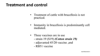 Treatment and control
• Treatment of cattle with brucellosis is not
practical.
• Immunity in brucellosis is predominantly cell
mediated.
• Three vaccines are in use
- strain 19 (S19) (Cotton strain 19)
- adjuvanted 45/20 vaccine ,and
- RB51 vaccine
drprofessionals.in
drprofessionals.in
 