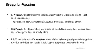 Brucella -Vaccine
• S19 vaccine is administered to female calves up to 5 months of age (Calf
hood vaccination).
(Vaccination of mature animals leads to persistent antibody titres)
• 45/20 bacterin - Even when administered to adult animals, this vaccine does
not induce persistent antibody titres.
• RB51 strain is a stable, rough mutant which induces good protection against
abortion and does not result in serological responses detectable in tests.
drprofessionals.in
drprofessionals.in
 