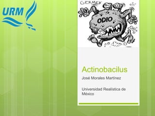 Actinobacilus 
José Morales Martínez 
Universidad Realística de 
México 
 