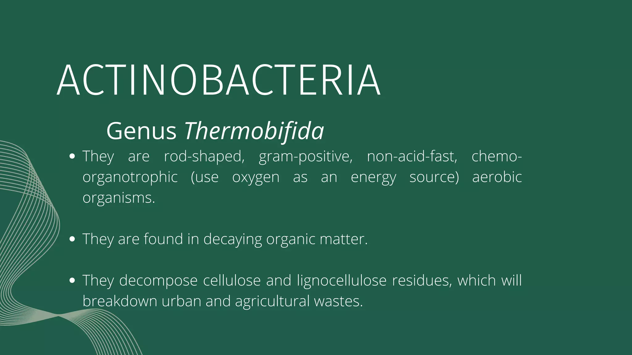 ACTINOBACTERIA-GRP1112.pdf