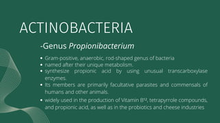 ACTINOBACTERIA
-Genus Propionibacterium
Gram-positive, anaerobic, rod-shaped genus of bacteria
named after their unique me...